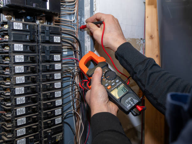 Best Ceiling Fan Installation Electrician  in Breezy Point, MN